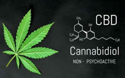 Quels sont les effets du CBD ?